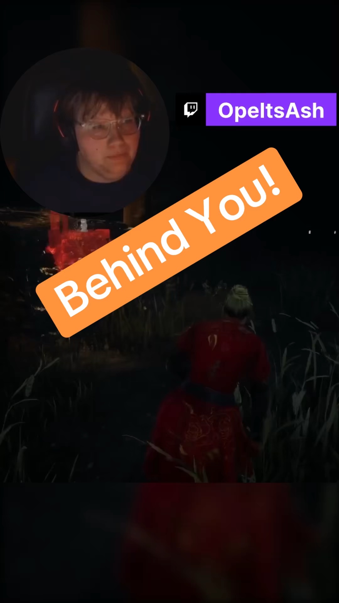 Never let your guard down… | Lowlight
