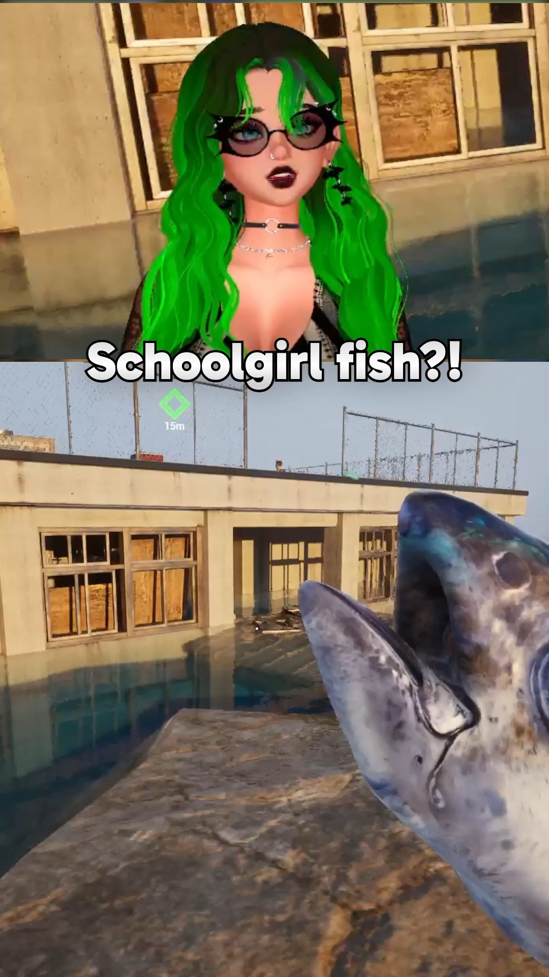 School of Fish | Lowlight