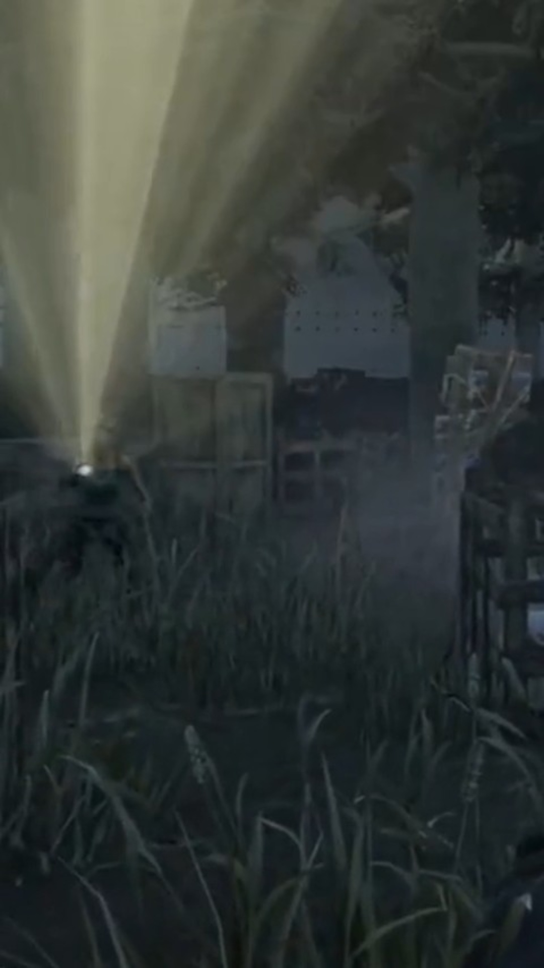 Flashlight gamer | Lowlight