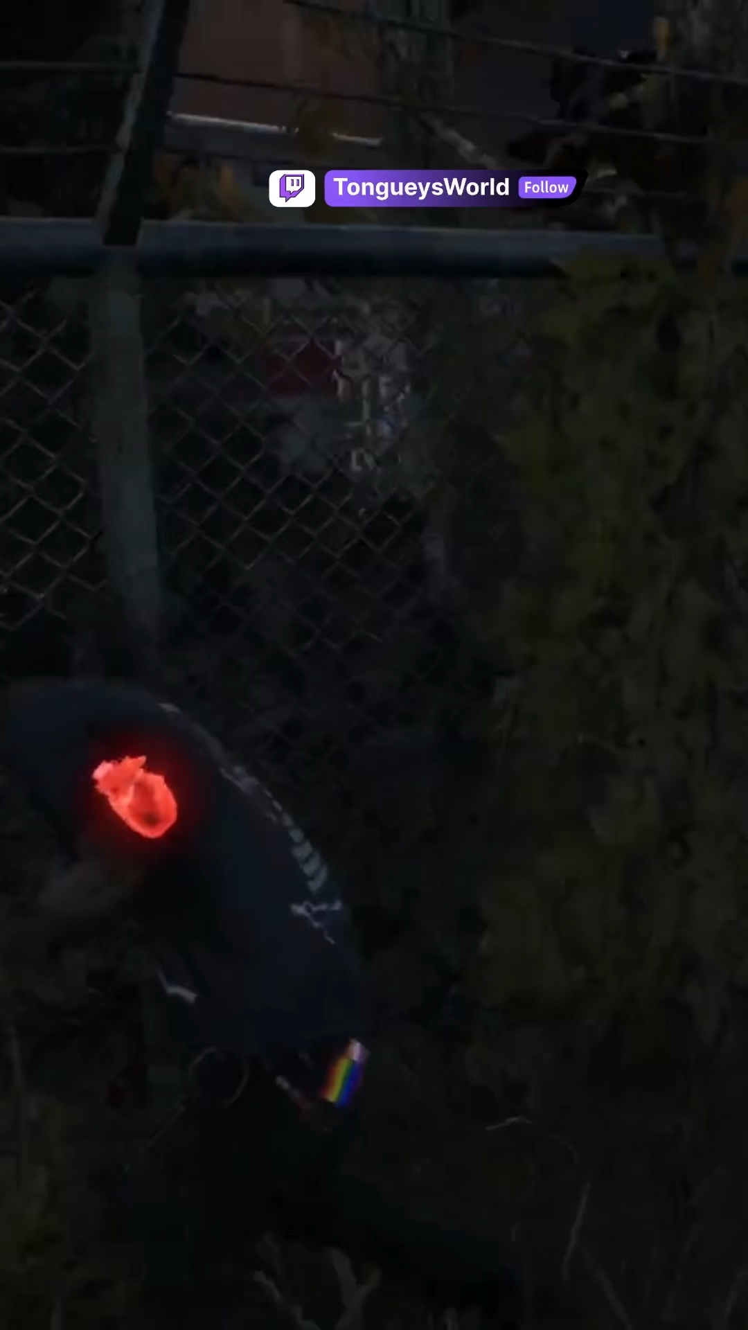 You looking for me big boy? | Lowlight