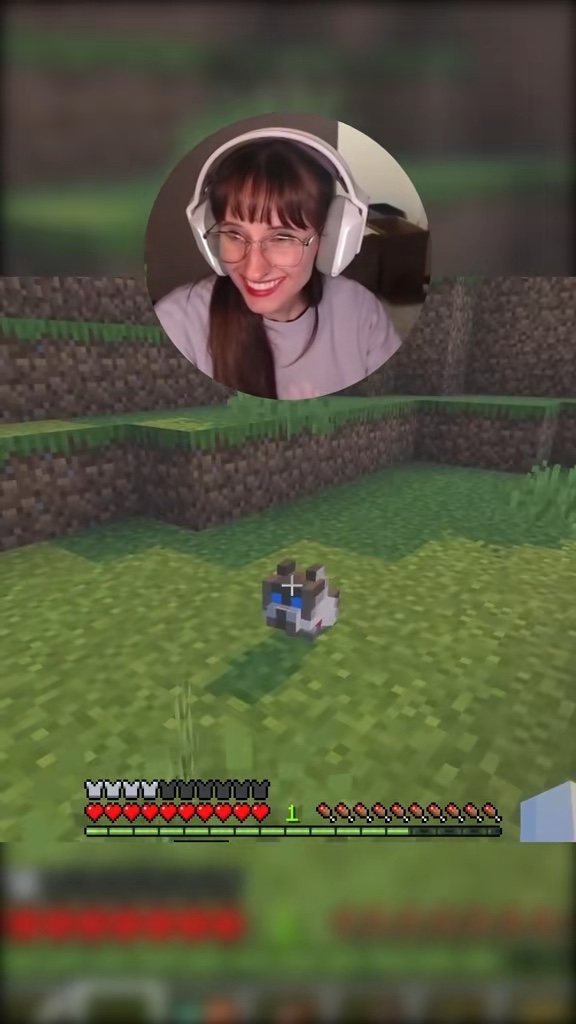 Minecraft kitty!! | Lowlight