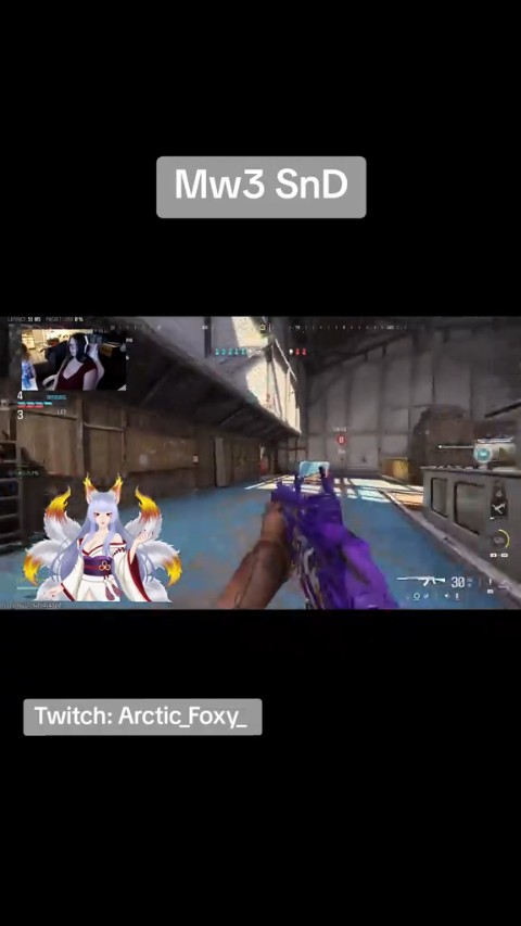 《🌸》Mw3 Shenanigans 《🌸》 | Lowlight