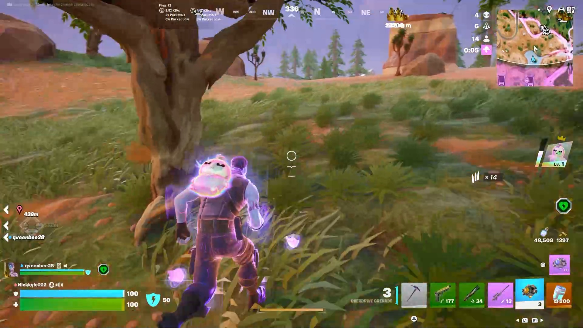 Crazy snipe | Lowlight