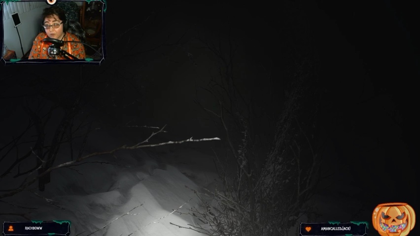 Turning on the hazards | Lowlight