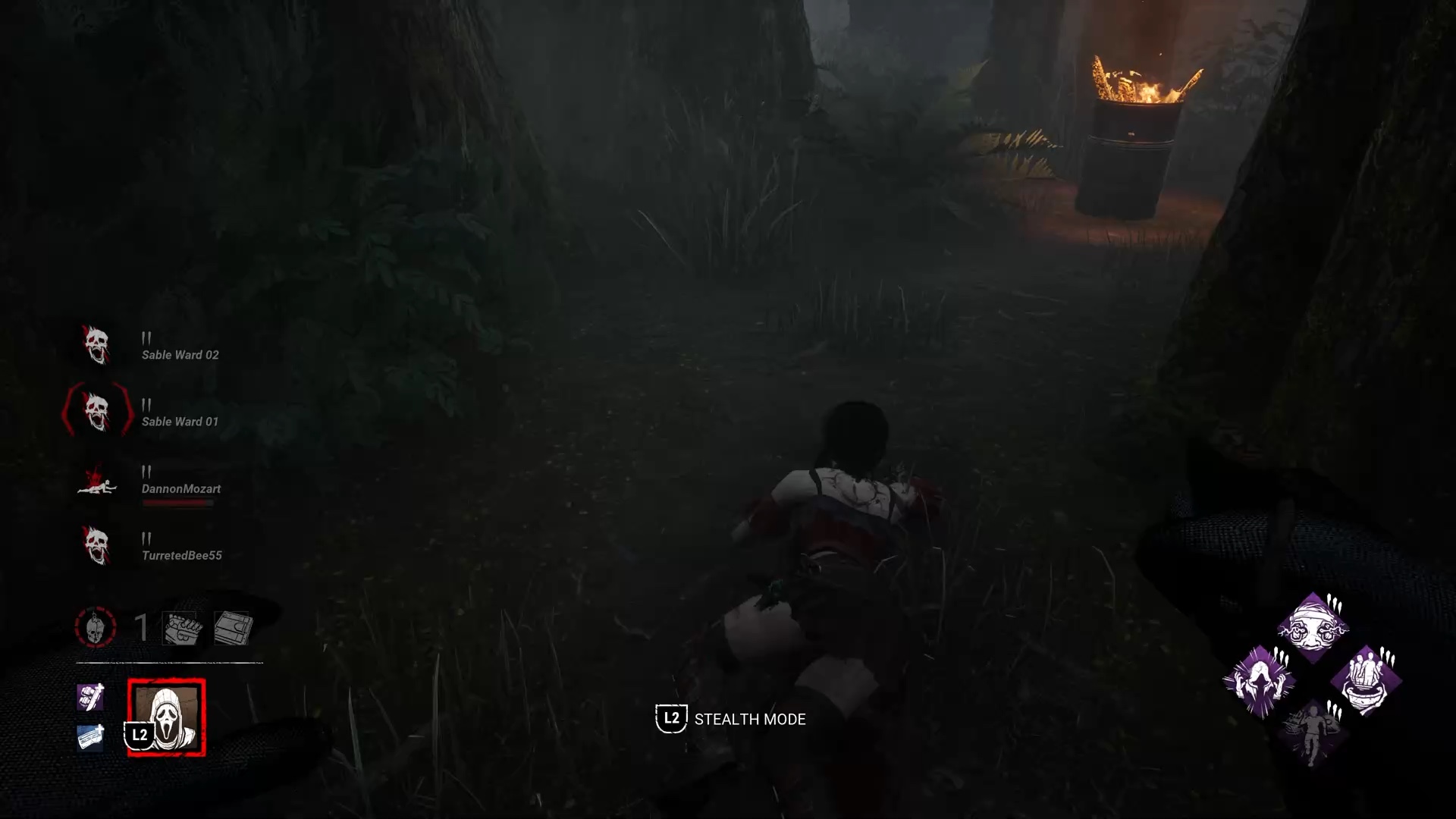 Little campfire selfie | Lowlight