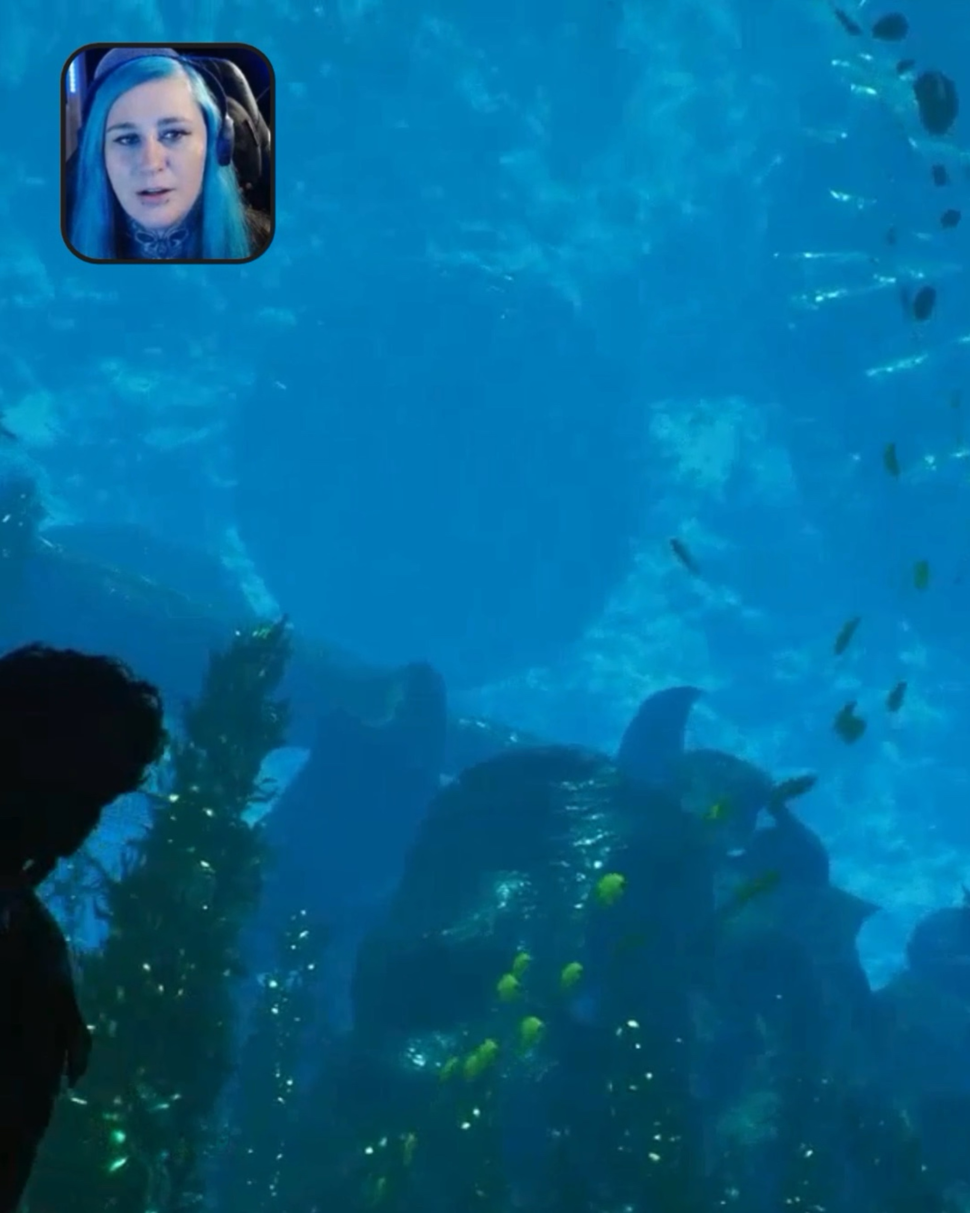 So Prettyy! 🐠✨ | Lowlight