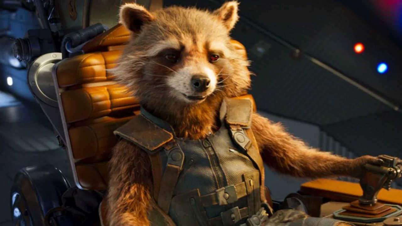 No, I'm Healer Rocket. Not DPS Rocket. | Lowlight