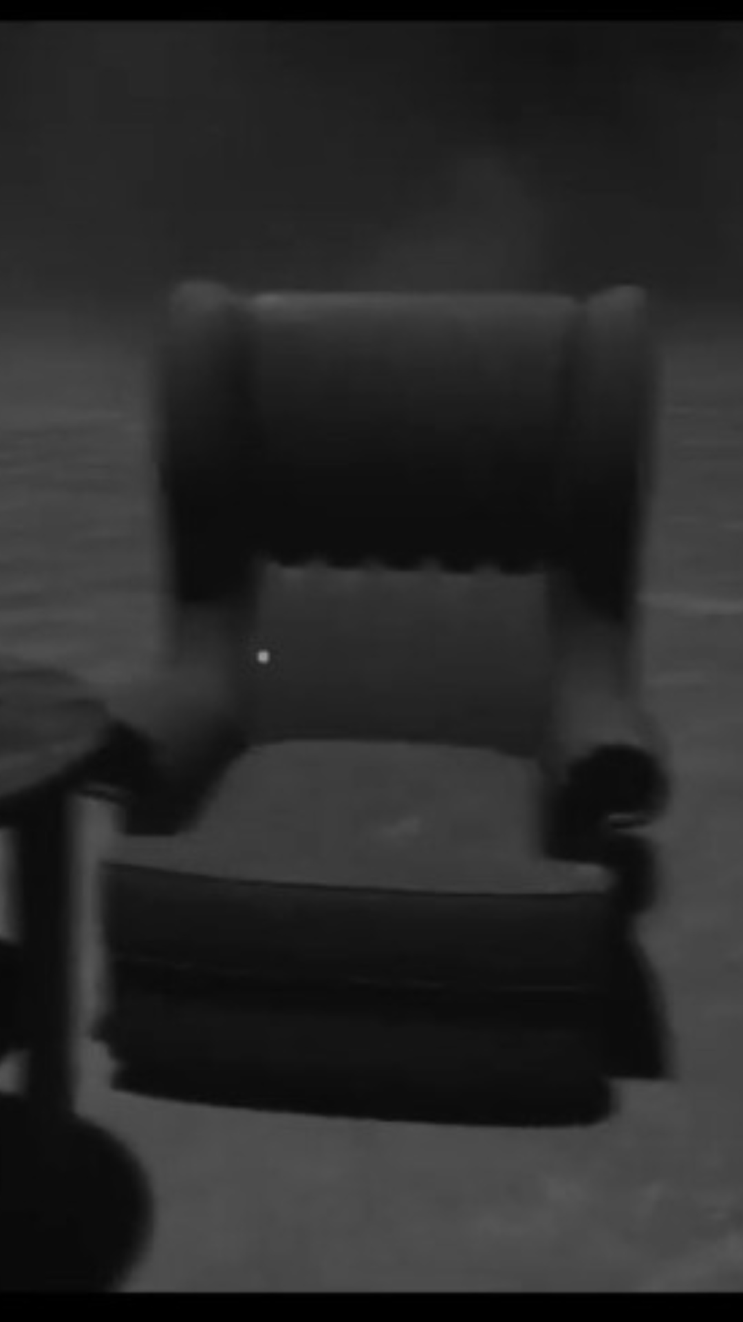 Public Service Announcement - Armchairs Are Not Toilets | LUTO | Lowlight