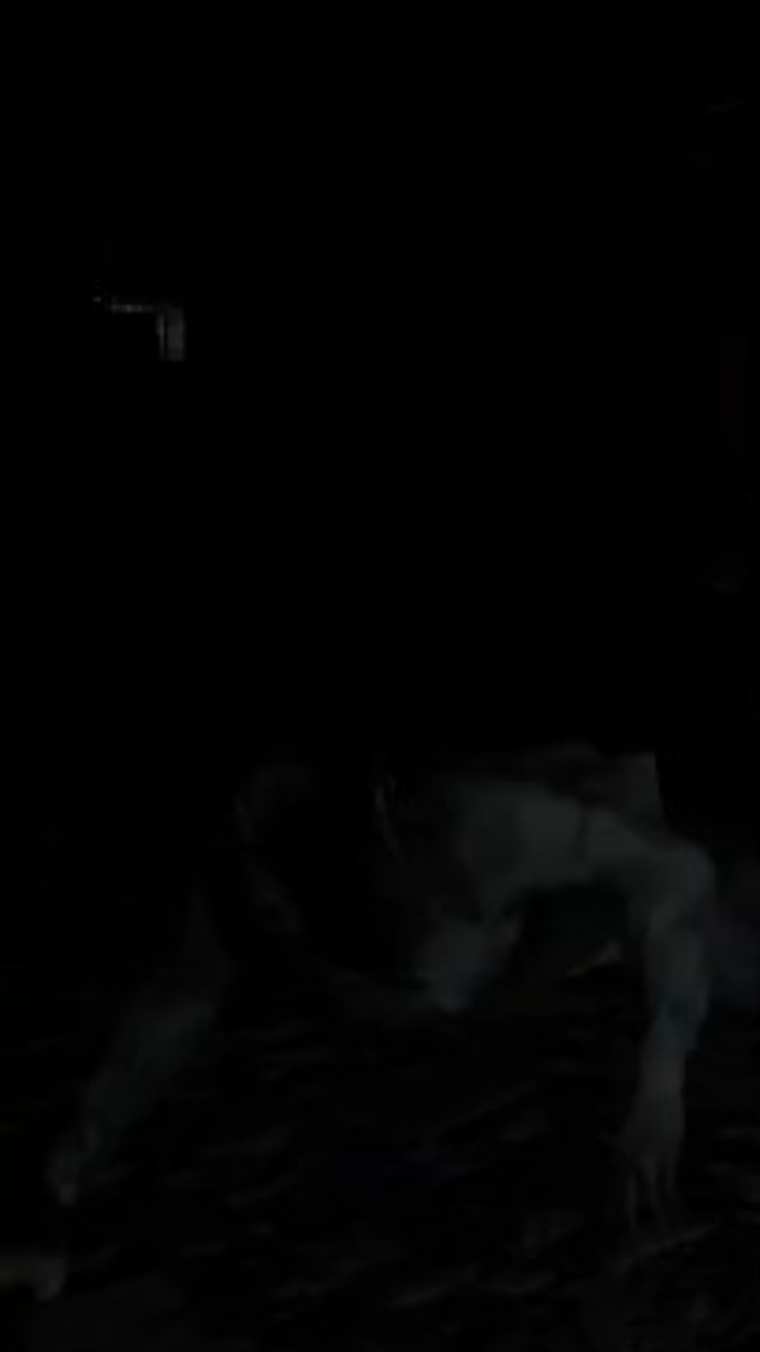 She was Supposed to be Blind! | Lowlight
