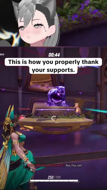 How To Treat Your Supports | Lowlight