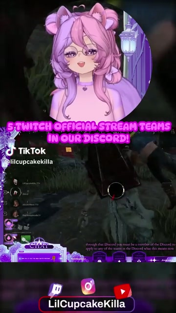 5 Twitch Official Stream Teams in The Star Sanctuary D… | Lowlight