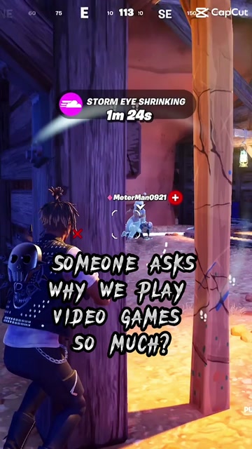Fortnite/Gamer Thoughts | Lowlight