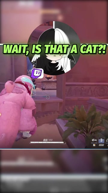 Finding CATS on the new Marvel Rivals map! | Lowlight