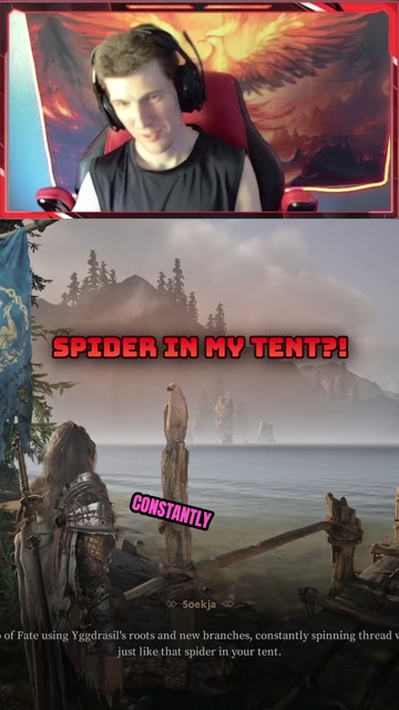 Wait, what spider? | Lowlight