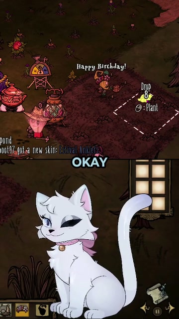 I'm just a nice cat | Lowlight