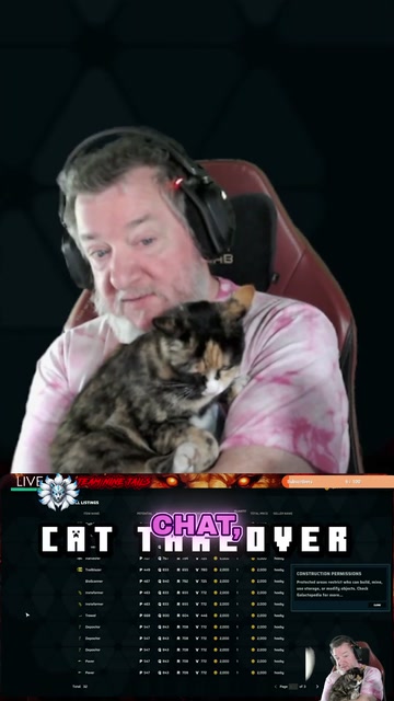 It's a cat takeover | Lowlight