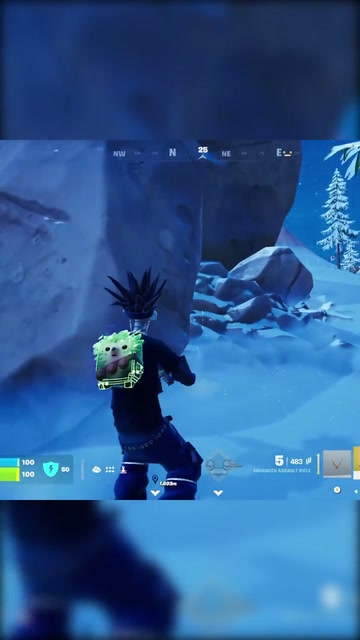 intense Final Circle Win | Lowlight