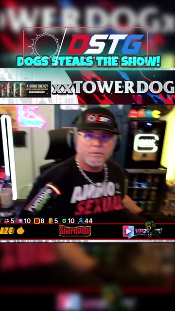 When the puppies want to be on cam! | Lowlight