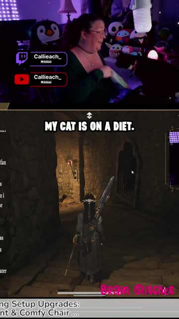Vet vs Cat Mom: Nebi is NOT Obese, She's Fluffy | Lowlight