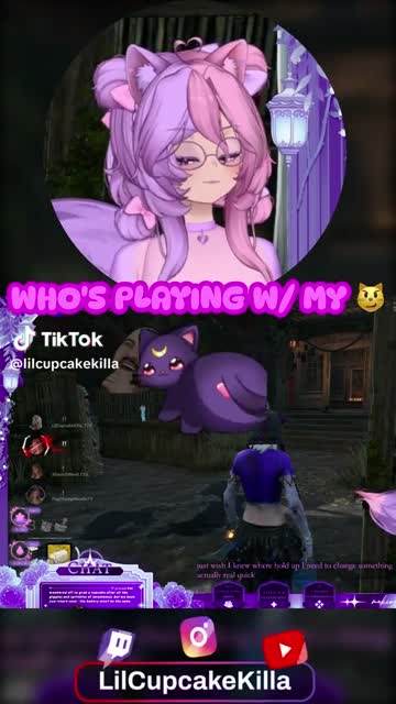 Who Is Playing With My 😼? | Lowlight