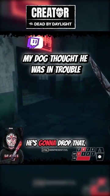 MY DOG THOUGHT HE WAS IN TROUBLE | Lowlight