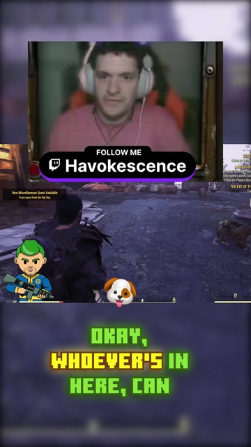 I just need ONE DAMN DOG.... | Lowlight
