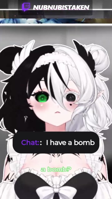 Chat thinks automod is the TSA | Lowlight