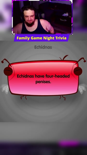 Family Game Night Trivia | Lowlight