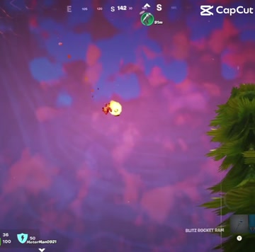 Fortnite! | Lowlight