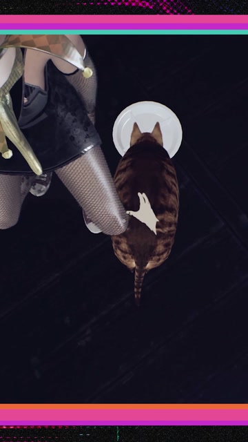 demonologist cat compilation | Lowlight