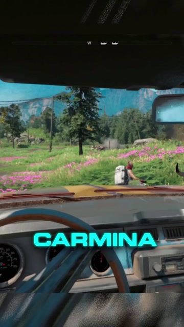 WHAT IF YOU BRING CARMINA TO PROSPERITY: FAR CRY NEW D… | Lowlight