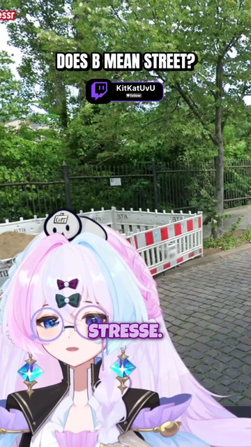Stresse means street? | Lowlight