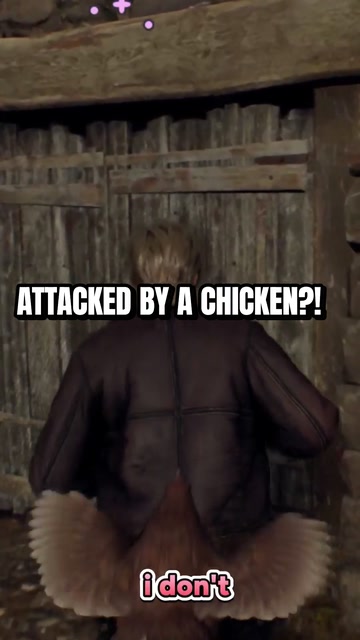 Chickens are brutal | Lowlight