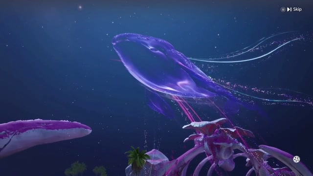 Absolutely Mesmerizing ✨️🐋 | Lowlight