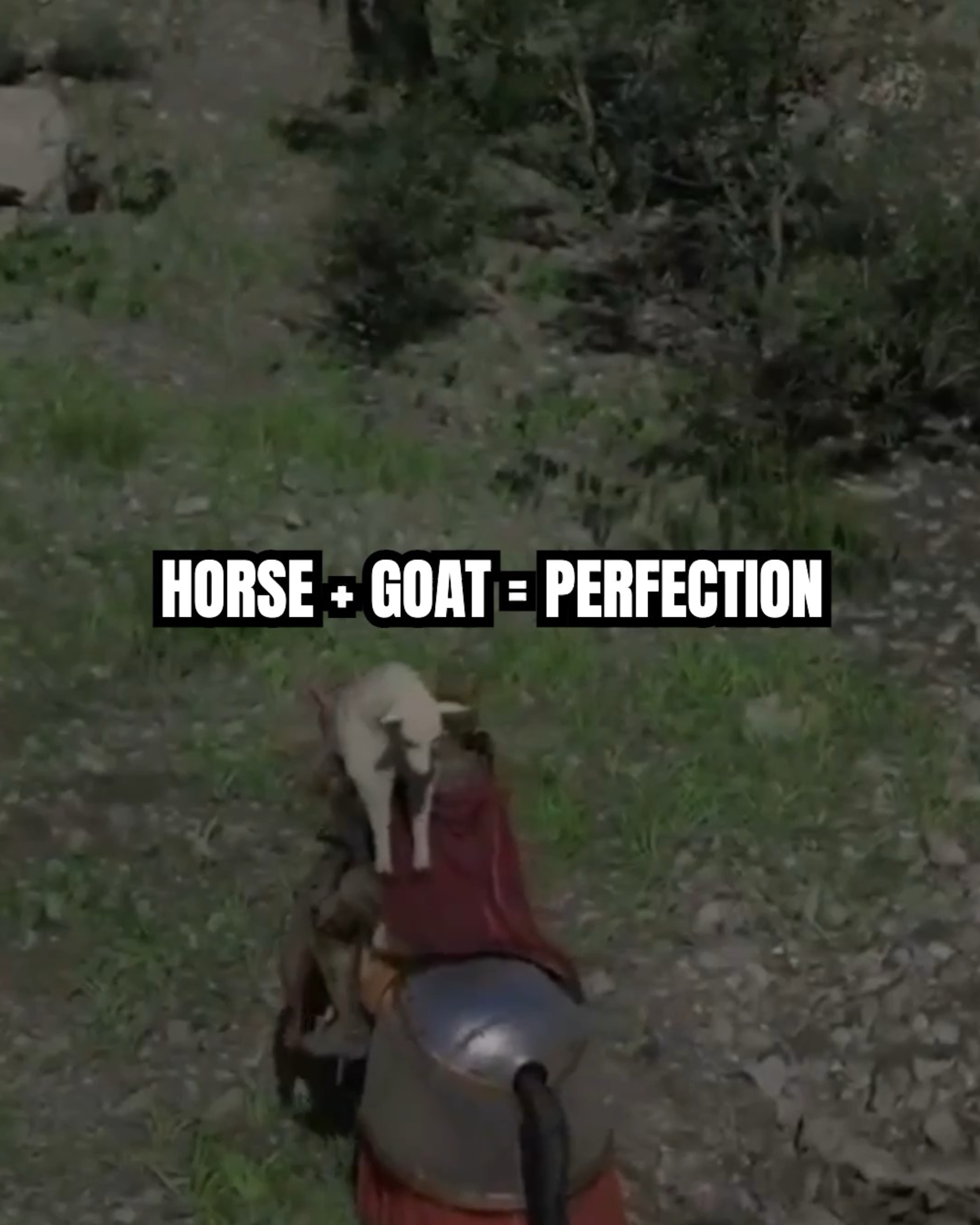 Goat + Horse carrying | Lowlight