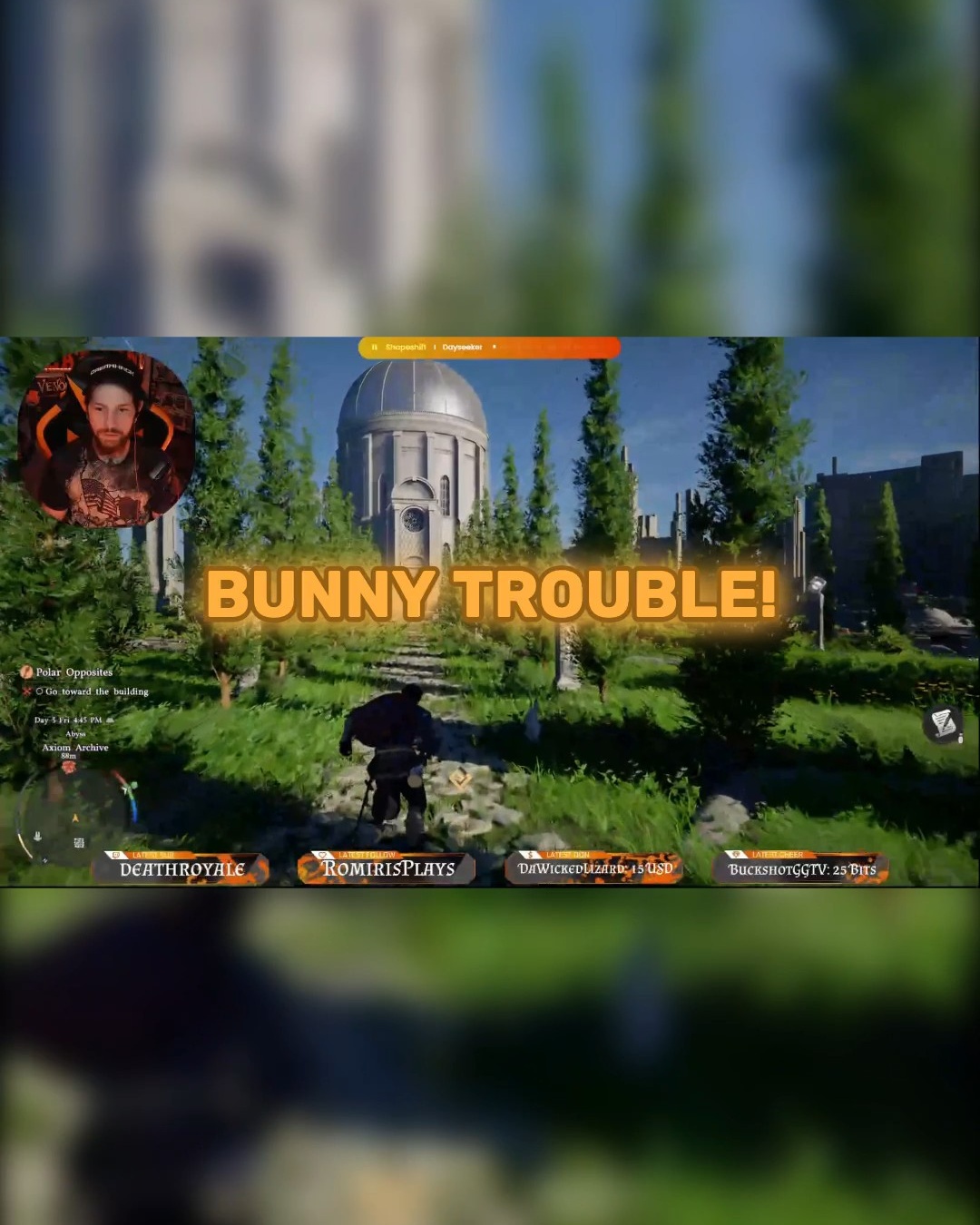 I just wanted to hold the bunny | Lowlight