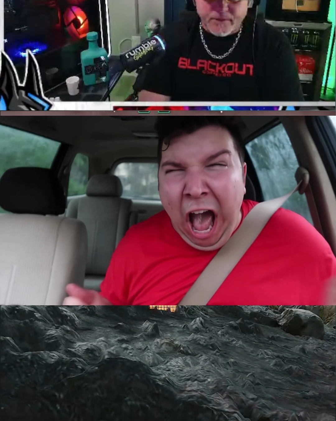 Double roadkill! | Lowlight
