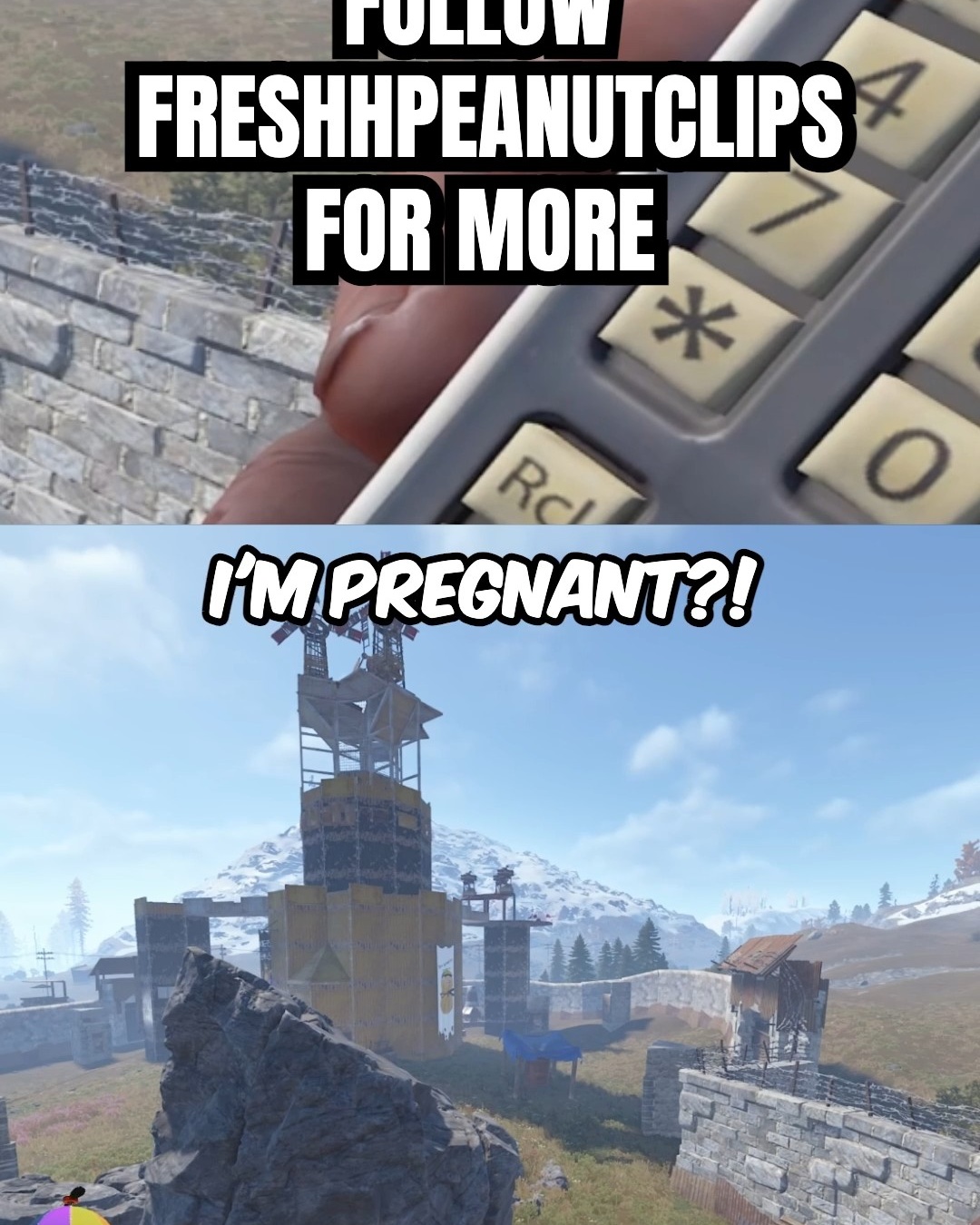 PEANUT IS PREGNANT. | Lowlight