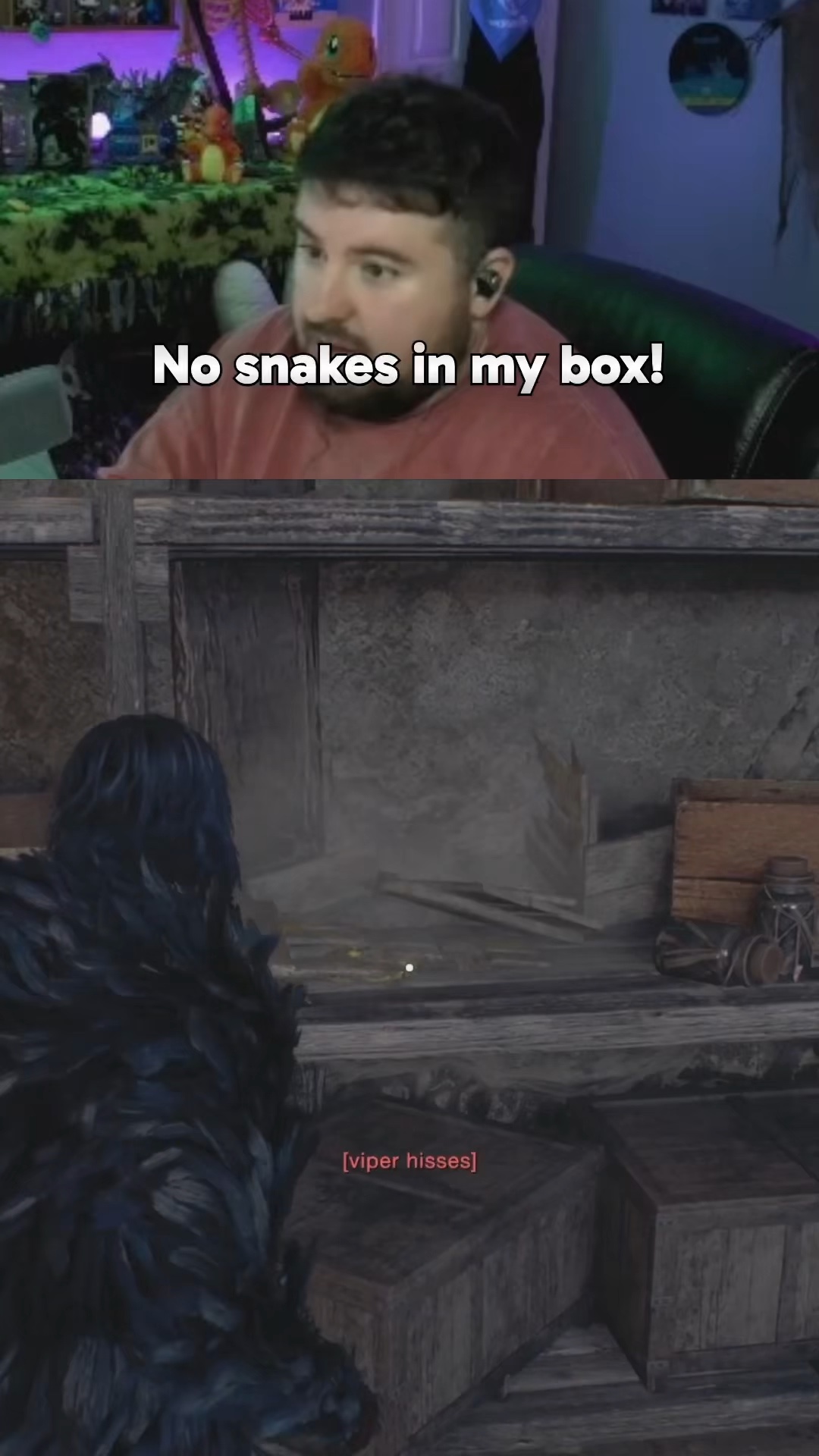 Tired of these snakes in my box | Lowlight