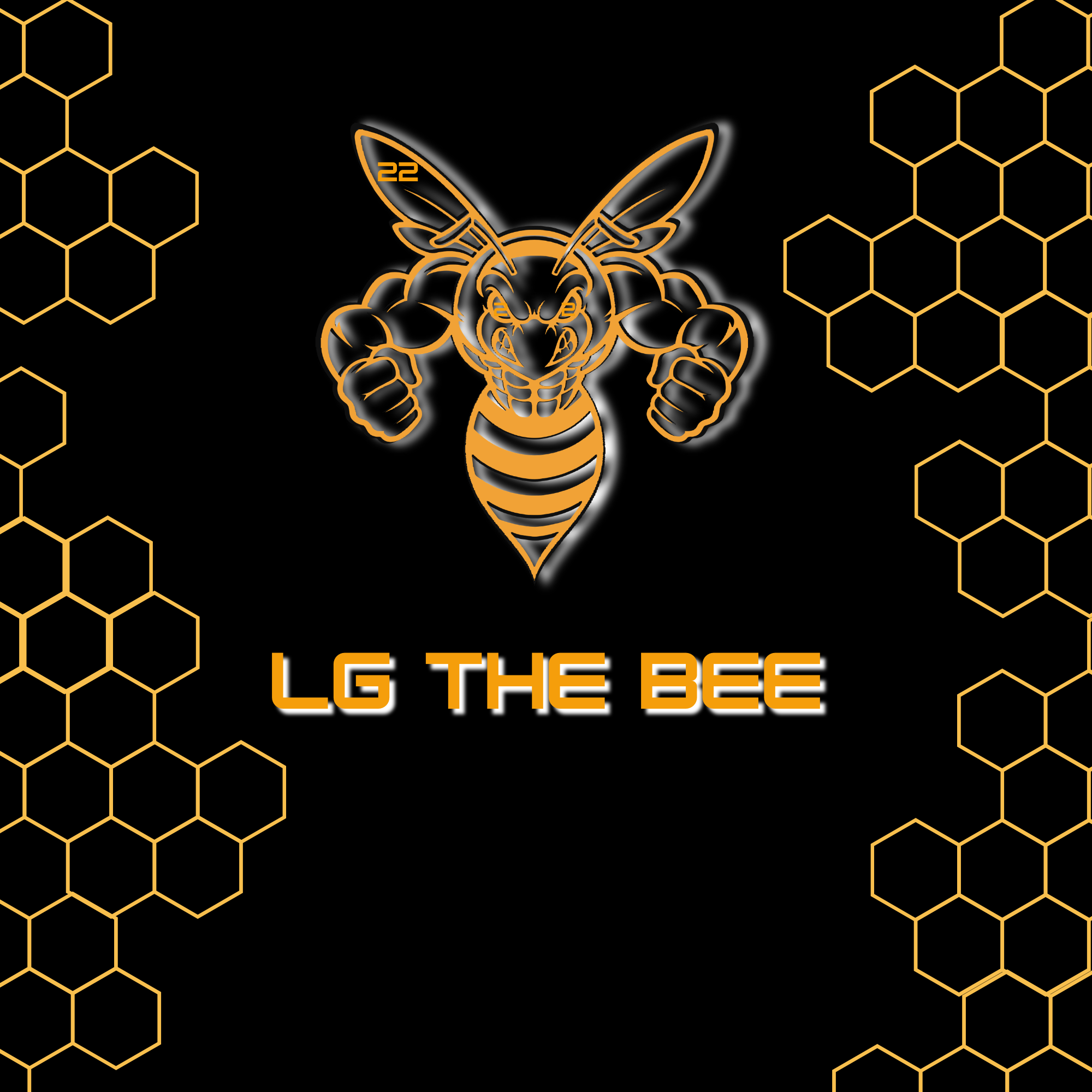 LGtheBee on Lowlight