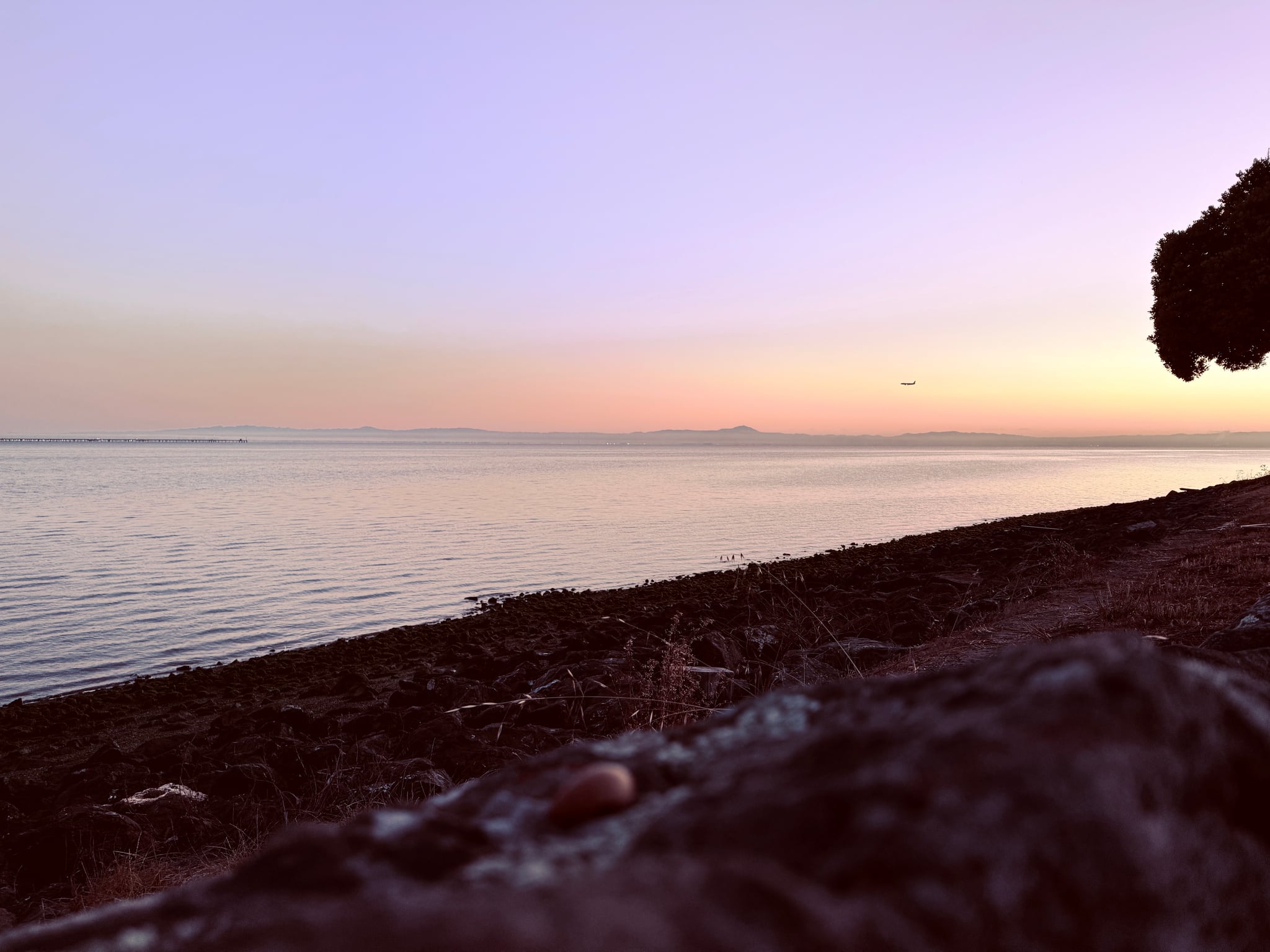 Morning friends. How is everyone? | Lowlight