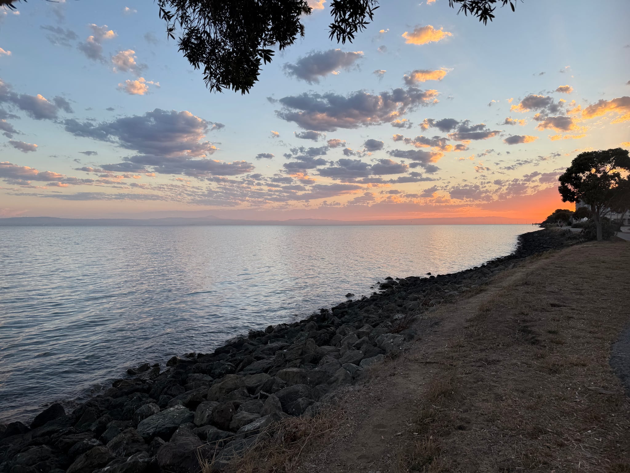 How did your morning start? | Lowlight